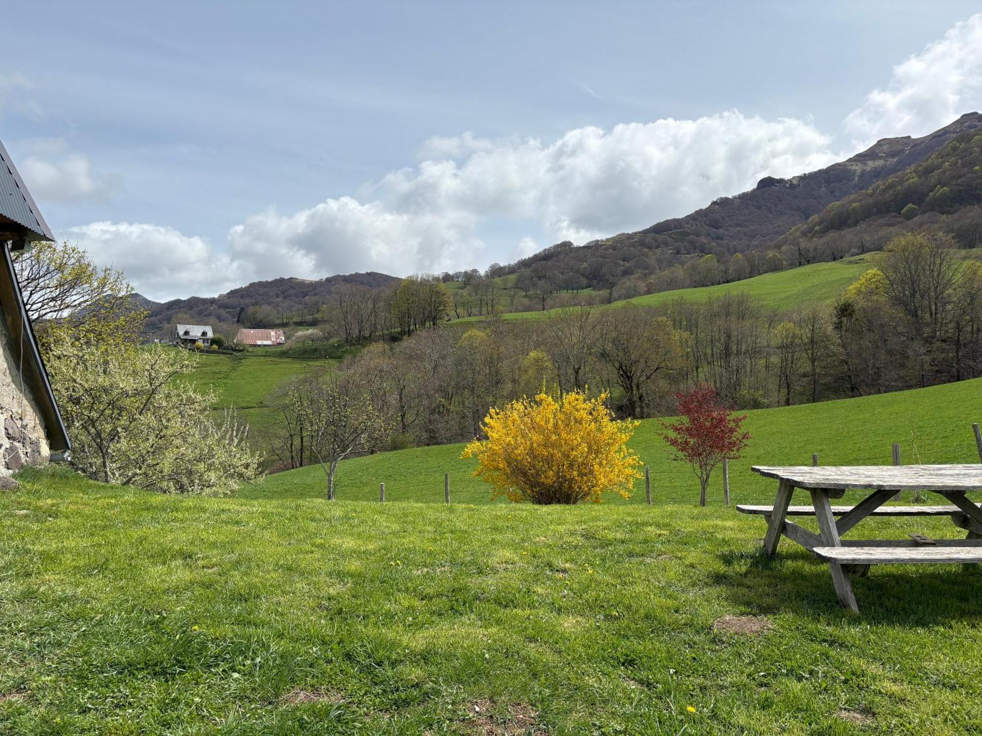 Le Pradima Villa Mandailles-Saint-Julien Buitenkant foto